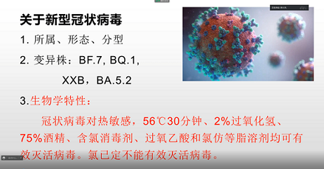 image33333333333333333.jpg
